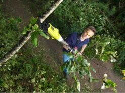 Échenilloir à Batterie RYOBI RY18PLA-0 - 18V - 4Ah