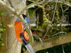 Échenilloir De Coupe Professionnel Bahco ATP 230-410 - Perche Télescopique 230-410 Cm - Ø 32 Mm - échenilloir -Entretien Du Jardin chenilloir de coupe professionnel bahco atp 230 410 perche tlescopique 230 410 cm 32 mm chenilloir tte de coupe inclinable 28100 2 1617798139 IMG 606da3fb1bef3