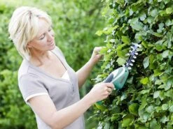 Cisaille à Batterie Pour Pelouse Bosch ISIO3 - Lame Gazon Et Lame Haies -Entretien Du Jardin cisaille batterie pour pelouse bosch isio3 lame gazon et lame haies caractristiques principales 30008 2 1624279026 IMG 60d087f238738