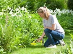 Cisaille à Batterie Pour Pelouse RYOBI OGS1822 - 18V - SANS BATTERIE NI CHARGEUR