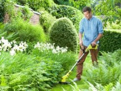 Coupe-bordure électrique à Batterie RYOBI OLT1832 - 18V - Coupe De 30 Cm - BATTERIE ET CHARGEUR NON INCLUS