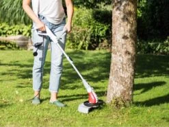 Coupe-bordures électrique IKRA IGT 600 DA Avec Moteur Monophasé De 600 Watts -Entretien Du Jardin coupe bordures lectrique ikra igt 600 da avec moteur monophas de 600 watts dbroussailleuse lectrique ikra igt 600 da 18684 5 1573803324 71zdn1I7B6L. AC SL1000