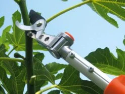 Coupe-branches Stocker Art. 603 Sur Perche Télescopique 130-200 Cm - Manche Et Tête Orientable