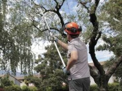 Coupe-branches Télescopique Professionnel Archman Helium MT.2 - Perche 170/270 Cm - Ø 35 Mm -Entretien Du Jardin coupe branches tlescopique professionnel archman helium mt 2 perche 170 270 cm 35 mm coupe branches sur perche archman 10126 0 1487755711 Helium 045