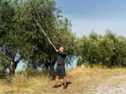 Coupe-branches Télescopique Professionnel Stocker Art. 606 - Perche 170/280 Cm - Ø 35mm -Entretien Du Jardin coupe branches tlescopique professionnel stocker art 606 perche 170 280 cm 35mm coupe branches scateur sur perche tlescopique stocker 606 15370 0 1547736570 ff