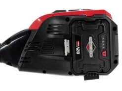 Débroussailleuse électrique Snapper SXDST82, Coupe-bordures à Batterie Briggs&Stratton 2Ah/82V 28 Débroussailleuse électrique Snapper SXDST82, Coupe-bordures à Batterie Briggs&Stratton 2Ah/82V -Entretien Du Jardin dbroussailleuse lectrique snapper sxdst82 coupe bordures batterie briggs stratton 2ah 82v moteur lectrique et batterie briggs stratton 13047 1 1524474677 IMG 1065