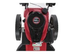 Débroussailleuse Manuelle à Roues GeoTech DG 58 F - Moteur à Essence Loncin 196 Cm3 - Faucheuse -Entretien Du Jardin dbroussailleuse manuelle roues geotech dg 58 f moteur essence loncin 196 cm3 faucheuse moteur loncin de 196 cm3 13120 1 1525336079 IMG 2620
