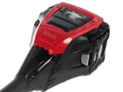 Débroussailleuse Multifonction à Batterie Snapper - élagueuse Et Taille-haies - 2Ah/82V -Entretien Du Jardin dbroussailleuse multifonction batterie snapper lagueuse et taille haies 2ah 82v moteur lectrique et batterie briggs stratton 13047 1 1524474673 IMG 1062