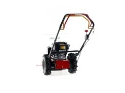 Débroussailleuse à Roues à Essence Autotractée Benassi MD 555 H - Honda GCVx 170 -Entretien Du Jardin dbroussailleuse roues essence autotracte benassi md 555 h honda gcvx 170 dbroussailleuse roues essence autotracte benassi md 555 h 40351 12 1678184475 IMG 6407101ba4e2e