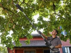 Élagueuse Sur Perche Télescopique à Batterie Multifonction Alpina AMT 20 Li - Batterie 20V 4Ah -Entretien Du Jardin lagueuse sur perche tlescopique batterie multifonction alpina amt 20 li batterie 20v 4ah elagueuse tlescopique batterie alpina amt 20 li kit 26886 5 1611761927 IMG 601189072c685