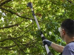 Élagueuse Sur Perche Télescopique à Batterie Multifonction Alpina AMT 20 Li - Batterie 20V 4Ah -Entretien Du Jardin lagueuse sur perche tlescopique batterie multifonction alpina amt 20 li batterie 20v 4ah elagueuse tlescopique batterie alpina amt 20 li kit 26886 5 1611761927 IMG 6011890762a37