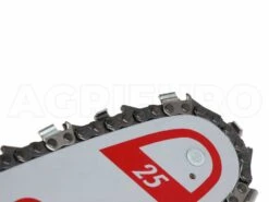 Élagueuse Zanon Rino - SANS BATTERIE -Entretien Du Jardin lagueuse zanon rino sans batterie barre de 8 avec chane de 1 4 25762 3 1606837211 IMG 5fc663db5994c