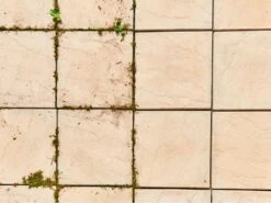 Nettoyeur De Joints à Batterie RYOBI RY18PCA-120 - 18V - 2Ah -Entretien Du Jardin nettoyeur de joints batterie ryobi ry18pca 120 18v 2ah moteur lectrique et batterie 29229 14 1621498197 IMG 60a619558abd5