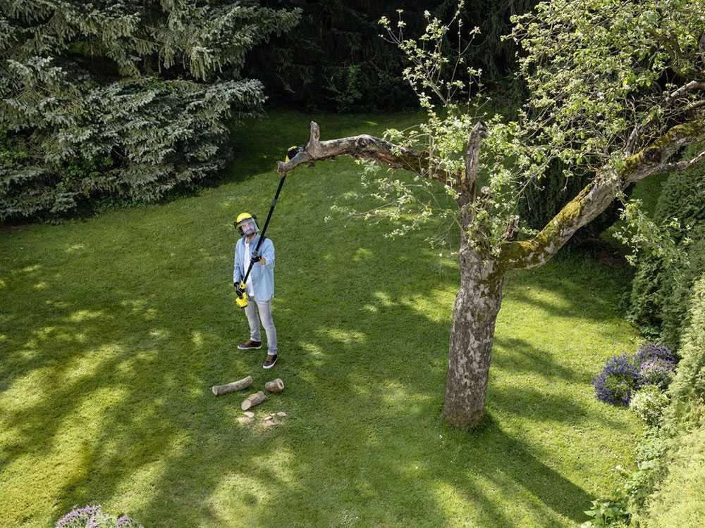 Perche élagueuse à Batterie Avec Rallonge Karcher PSW 18-20 -18V 20 Perche élagueuse à Batterie Avec Rallonge Karcher PSW 18-20 -18V – Image 20