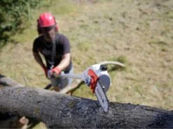 Perche élagueuse électrique IKRA IEAS 750 Télescopique - Tronçonneuse -Entretien Du Jardin perche lagueuse lectrique ikra ieas 750 tlescopique trononneuse perche lagueuse lectrique ikra ieas 750 18219 1 1570007580 18213 5 1570001070 61fQMCqjwYL