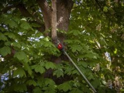 Perche élagueuse Télescopique à Batterie HENX H36GZ12040 - 40V - SANS CHARGEUR NI BATTERIE -Entretien Du Jardin perche lagueuse tlescopique batterie henx h36gz12040 40v sans chargeur ni batterie lagueuse henx h36gz12040 27530 5 1615477714 IMG 604a3bd22481f