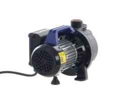 Pompe De Jardin Auto-amorçante Annovi & Reverberi ARGP 600P - Faible Consommation D'énergie -Entretien Du Jardin pompe de jardin auto amorante annovi reverberi argp 600p faible consommation d nergie pompe de jardin lectrique annovi reverberi argp series 600p 21875 3 1578915788 3