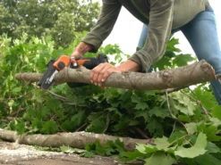 PROMO AUTOMNE Élagueuse Manuelle à Batterie Worx WG324E 20 V 2 Ah + Perche De Rallonge -Entretien Du Jardin promo automne lagueuse manuelle batterie worx wg324e 20 v 2 ah perche de rallonge lagueuse manuelle batterie worx wg324e 38495 0 1668758561 IMG 63773c2171f07