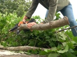 PROMO AUTOMNE Élagueuse Manuelle à Batterie Worx WG324E 20 V 2 Ah + Perche De Rallonge -Entretien Du Jardin promo automne lagueuse manuelle batterie worx wg324e 20 v 2 ah perche de rallonge lagueuse manuelle batterie worx wg324e 38495 0 1668758561 IMG 63773c2176acc