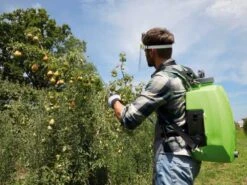 Pulvérisateur à Batterie à Dos Verdemax FUTURA PRO 16L Batterie Au Lithium 18V 2.5Ah -Entretien Du Jardin pulvrisateur batterie dos verdemax futura pro 16l batterie au lithium 18v 2 5ah pulvrisateur dos batterie verdemax futura pro 16l 29749 1 1623234693 IMG 60c09885d0ad0