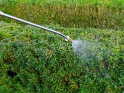 Pulvérisateur Porté à Batterie Batavia BT-GS001 - 18V - SANS BATTERIE NI CHARGEUR -Entretien Du Jardin pulvrisateur port batterie batavia bt gs001 18v sans batterie ni chargeur caractristiques principales 38625 2 1669795586 IMG 63870f0286be8