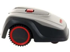 Robot Tondeuse Robolinho AL-KO 800 W - Tondeuse Avec Câble Périmétrique -Entretien Du Jardin robot tondeuse robolinho al ko 800 w tondeuse avec cble primtrique robot tondeuse robolinho al ko 800 w 28614 42 1619441784 IMG 6086b87843e99