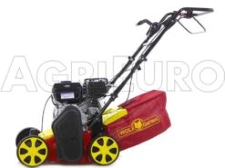 Wolf-Garten Scarificateur Thermique WOLF Garten VA 389 B - Moteur B&S Série 750 -Entretien Du Jardin scarificateur thermique wolf garten va 389 b moteur b s serie 750 scarificateur wolf garten va 389 b 8350 0 1457429780 500027 ariegg WG 389 B 00022