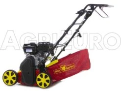 Wolf-Garten Scarificateur Thermique WOLF Garten VA 389 B - Moteur B&S Série 750 -Entretien Du Jardin scarificateur thermique wolf garten va 389 b moteur b s serie 750 scarificateur wolf garten va 389 b 8350 0 1457429780 500027 ariegg WG 389 B 00023