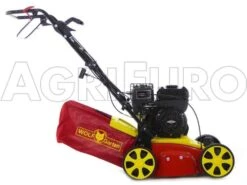 Wolf-Garten Scarificateur Thermique WOLF Garten VA 389 B - Moteur B&S Série 750 -Entretien Du Jardin scarificateur thermique wolf garten va 389 b moteur b s serie 750 scarificateur wolf garten va 389 b 8350 0 1457429780 500027 ariegg WG 389 B 00025