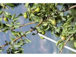 Sécateur De Taille Avec Perche Fixe 120 Cm Stocker Art. 502 - Ø 10 Mm - Coupe Orientable -Entretien Du Jardin scateur de taille avec perche fixe 120 cm stocker art 502 10 mm coupe orientable coupe branches scateur sur perche 120 cm stocker art 502 15401 0 1548229931 500 2 4 A 161209