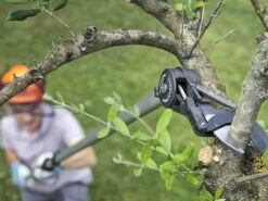 Sécateur De Taille à Batterie HELIUM+ Archman Avec Perche Télescopique - Tête De Coupe Orientable -Entretien Du Jardin scateur de taille batterie helium archman avec perche tlescopique tte de coupe orientable tte de coupe inclinable 26480 9 1608635217 IMG 5fe1d351423e6