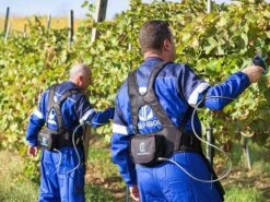 Sécateur électrique De Taille Easy S Campagnola - SANS BATTERIE -Entretien Du Jardin scateur lectrique de taille easy s campagnola sans batterie points forts 25391 2 1601556567 IMG 5f75d057bc127