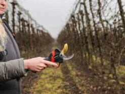 Sécateur électrique De Taille Infaco F3020 - Kit Standard Ø 40 Mm Pour Vergers Et Vignes -Entretien Du Jardin scateur lectrique de taille infaco f3020 kit standard 40 mm pour vergers et vignes points forts 36262 5 1660918359 IMG 62ff9a5797d4e