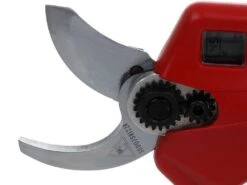 Sécateur électrique De Taille Sbaraglia Eduard A3042 32mm -Entretien Du Jardin scateur lectrique de taille sbaraglia eduard a3042 32mm scateur lectrique batterie eduard a3042 32mm batterie da 16 8v 22138 8 1581527744 IMG 4030