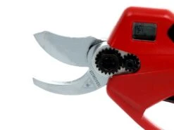 Sécateur électrique De Taille Sbaraglia Eduard A3042 32mm -Entretien Du Jardin scateur lectrique de taille sbaraglia eduard a3042 32mm scateur lectrique batterie eduard a3042 32mm batterie da 16 8v 22138 8 1581527744 IMG 4031