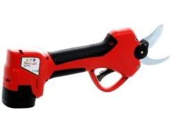 Sécateur électrique De Taille Sbaraglia Eduard A3042 32mm -Entretien Du Jardin scateur lectrique de taille sbaraglia eduard a3042 32mm scateur lectrique batterie eduard a3042 32mm batterie da 16 8v 22138 8 1581527744 IMG 4055