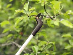 Sécateur Sur Perche Télescopique Orientable Fiskars Light UP69 - Ø 12 Mm -Entretien Du Jardin scateur sur perche tlescopique orientable fiskars light up69 12 mm manche en aluminium rotatif 270 et autres caractristiques 12428 1 1518083478 20500 FISKARS Coupe branches UP69