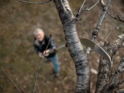 Scie De Jardin Stocker Corvo 430 TC Avec Perche Télescopique 195-310 Cm 29 Scie De Jardin Stocker Corvo 430 TC Avec Perche Télescopique 195-310 Cm -Entretien Du Jardin scie de jardin stocker corvo 430 tc avec perche tlescopique 195 310 cm scie trempe 32636 3 1643011722 IMG 61ee5e8ae2d4f