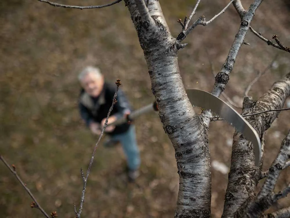 Scie De Jardin Stocker Corvo 430 TC Avec Perche Télescopique 195-310 Cm 10 Scie De Jardin Stocker Corvo 430 TC Avec Perche Télescopique 195-310 Cm – Image 10
