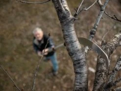 Scie De Jardin Stocker Corvo 430 TC Avec Perche Télescopique 230-385 Cm -Entretien Du Jardin scie de jardin stocker corvo 430 tc avec perche tlescopique 230 385 cm scie trempe 32690 3 1643115467 IMG 61eff3cb7a75a