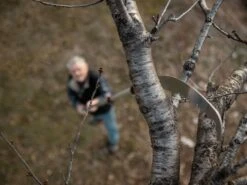 Scie De Jardin Stocker Corvo 430 TC Avec Poignée Télescopique 270-460 Cm -Entretien Du Jardin scie de jardin stocker corvo 430 tc avec poignee telescopique 270 460 cm scie trempee 32687 3 1643106406 IMG 61efd066eac91