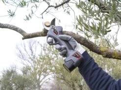 Sécateur à Batterie De Taille Ausonia Nativa Medium - 2 Batteries 16.8V - 2.5Ah Offertes -Entretien Du Jardin secateur a batterie de taille ausonia nativa medium 2 batteries 16 8v 2 5ah offertes points forts et donnees techniques 32438 2 1641306416 IMG 61d45930e6932