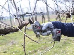 Sécateur à Batterie De Taille Ausonia Nativa Medium - 2 Batteries 16.8V - 2.5Ah Offertes