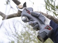 Sécateur à Batterie De Taille Ausonia Nativa Medium - 2 Batteries 16.8V - 2.5Ah Offertes -Entretien Du Jardin secateur a batterie de taille ausonia nativa medium 2 batteries 16 8v 2 5ah offertes secateur electrique d elagage ausonia nativa medium 32438 1 1641306416 IMG 61d45930ca3d4