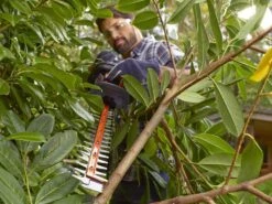 Taille-haie électrique Black & Decker BEHTS401-QS De 500 W Ave Lamier De 55 Cm -Entretien Du Jardin taille haie lectrique black decker behts401 qs de 500 w ave lamier de 55 cm taille haie lectrique black decker behts401 qs 17328 5 1565012416 BEHTS401 A3