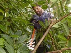 Taille-haie électrique Black & Decker BEHTS451-QS De 550 W Avec Lamier 60 Cm -Entretien Du Jardin taille haie lectrique black decker behts451 qs de 550 w avec lamier 60 cm taille haie lectrique black decker behts451 qs 17310 0 1565012831 BEHTS451 A3