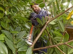 Taille-haie électrique Black & Decker BETHS301-QS De 500W Avec Lamier De 55 Cm -Entretien Du Jardin taille haie lectrique black decker beths301 qs de 500w avec lamier de 55 cm taille haie lectrique black decker beths301 qs 17323 13 1649759232 IMG 62555400d282f