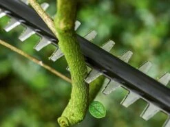 Taille-haie électrique Bosch UniversalHedgePole 18 Sur Perche Télescopique - 2,5 Ah -Entretien Du Jardin taille haie lectrique bosch universalhedgepole 18 sur perche tlescopique 2 5 ah le taille haie lectrique batterie bosch universalhedgepole 18 17397 6 1565949715 61gbsuDSOAL. SL1200