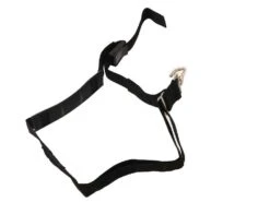 Taille-haie électrique Orientable Black & Decker PH5551-QS Sur Perche Télescopique -Entretien Du Jardin taille haie lectrique orientable black decker ph5551 qs sur perche tlescopique lame et perche tlescopique 17428 2 1562765629 IMG 1673