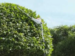 Taille-haie Sur Perche Télescopique à Batterie IKRA IATHS 40/43 - Lameir De 48 Cm SANS BATTERIE NI CHARGEUR -Entretien Du Jardin taille haie sur perche tlescopique batterie ikra iaths 40 43 lameir de 48 cm sans batterie ni chargeur perche lagueuse batterie ikra iaths 40 43 37170 15 1663751538 IMG 632ad5720f181